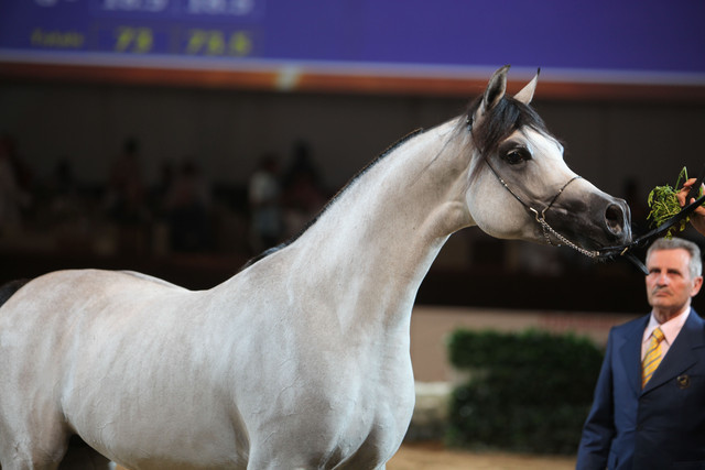 2012 Dubai International Championships - Day2