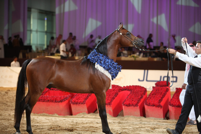 2012 Dubai International Championships - Day2