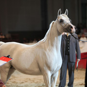 2012 Dubai International Championships - Day2