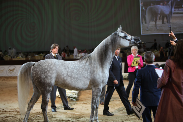 2012 Dubai International Championships - Day2