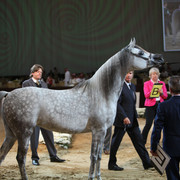 2012 Dubai International Championships - Day2