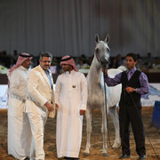 2012 Dubai International Championships - Day2