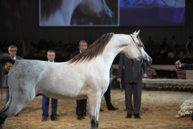 2012 Dubai International Championships - Day2