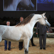 2012 Dubai International Championships - Day2