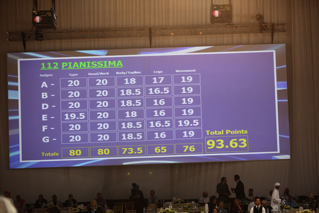 2012 Dubai International Championships - Day2