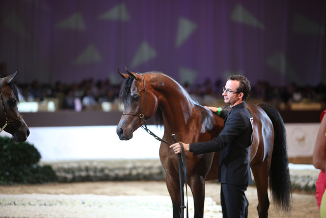 2012 Dubai International Championships - Day2