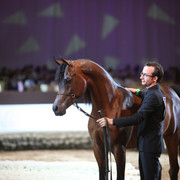 2012 Dubai International Championships - Day2