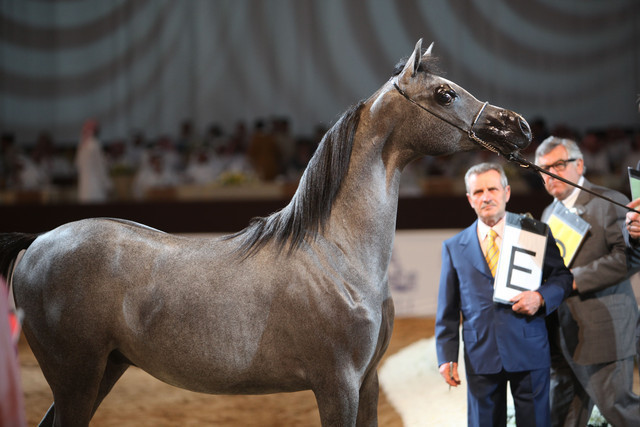 2012 Dubai International Championships - Day2