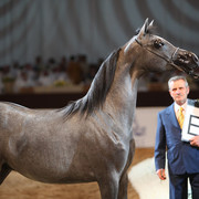 2012 Dubai International Championships - Day2