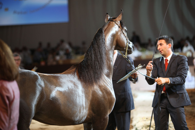 2012 Dubai International Championships - Day2