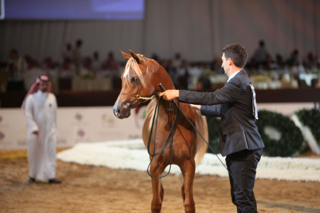 2012 Dubai International Championships - Day2