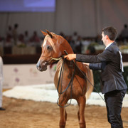2012 Dubai International Championships - Day2