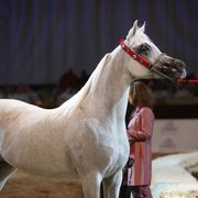 2012 Dubai International Championships - Day2