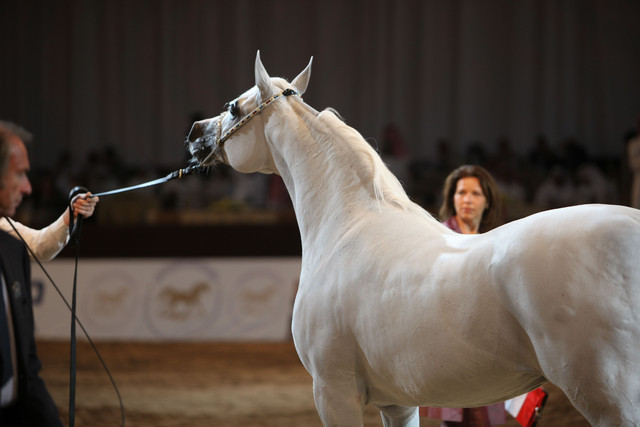 2012 Dubai International Championships - Day2