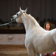 2012 Dubai International Championships - Day2