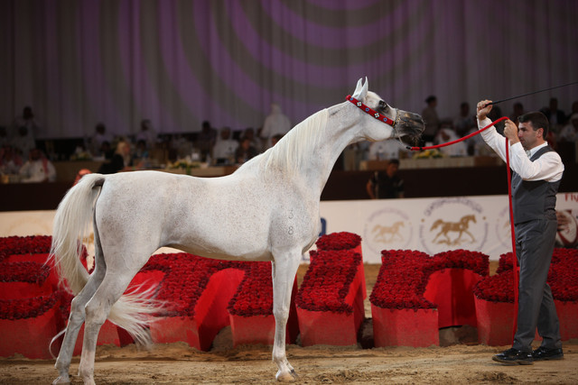 2012 Dubai International Championships - Day2
