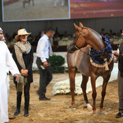 2012 Dubai International Championships - Day2