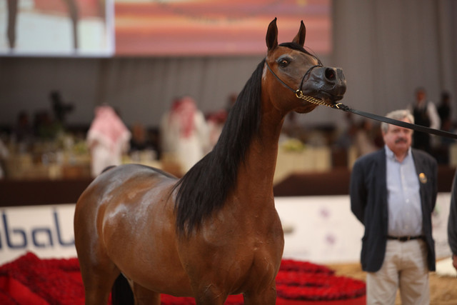 2012 Dubai International Championships - Day2