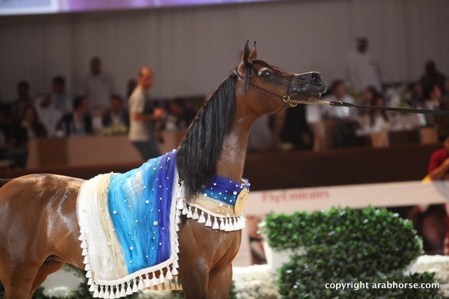 2012 Dubai International Championships - Championships