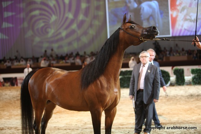 2012 Dubai International Championships - Championships