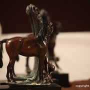 2012 Dubai International Championships - Championships