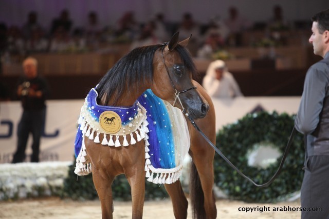 2012 Dubai International Championships - Championships