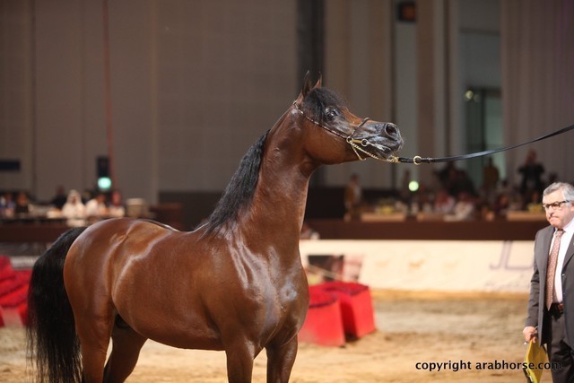 2012 Dubai International Championships - Championships