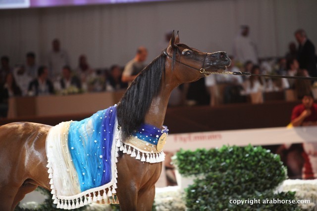 2012 Dubai International Championships - Championships