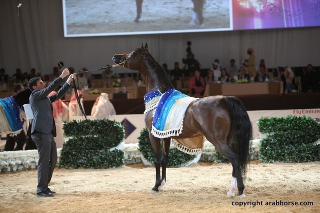 2012 Dubai International Championships - Championships