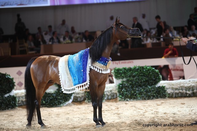 2012 Dubai International Championships - Championships