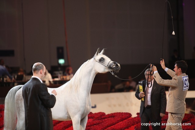 2012 Dubai International Championships - Championships