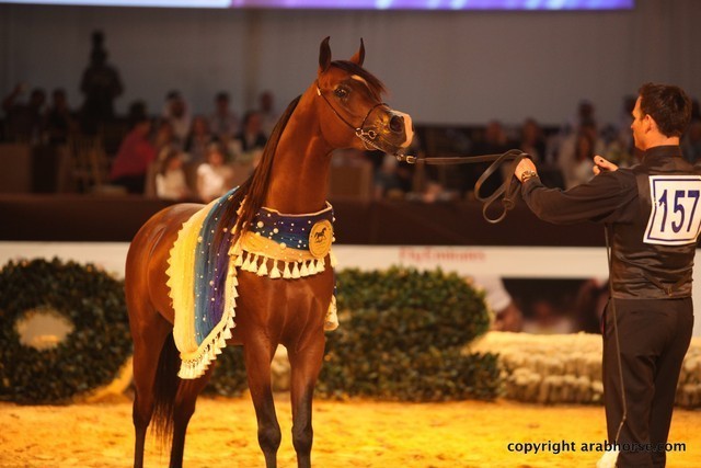 2012 Dubai International Championships - Championships