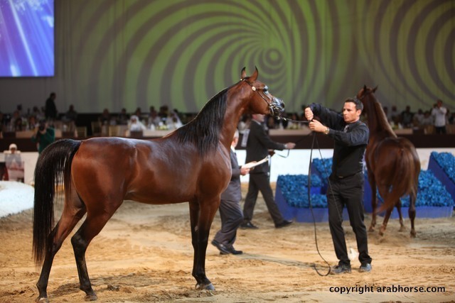 2012 Dubai International Championships - Championships