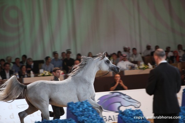 2012 Dubai International Championships - Championships