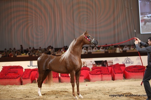 2012 Dubai International Championships - Championships