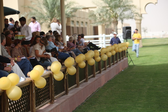 2012 Dubai Arabian Stud Open Day