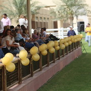 2012 Dubai Arabian Stud Open Day