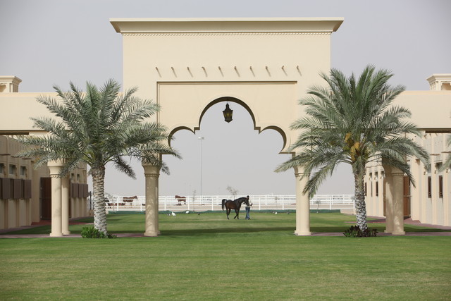 2012 Dubai Arabian Stud Open Day