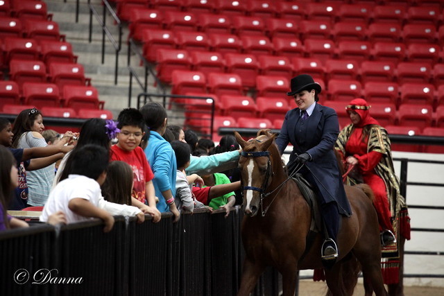 6th Annual Arabian Breeders World Cup - Cox Kids Day 