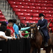 6th Annual Arabian Breeders World Cup - Cox Kids Day 