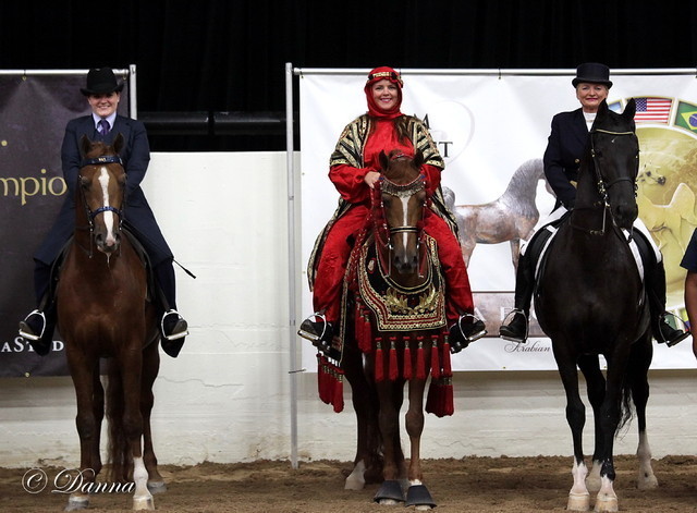 6th Annual Arabian Breeders World Cup - Cox Kids Day 