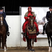 6th Annual Arabian Breeders World Cup - Cox Kids Day 
