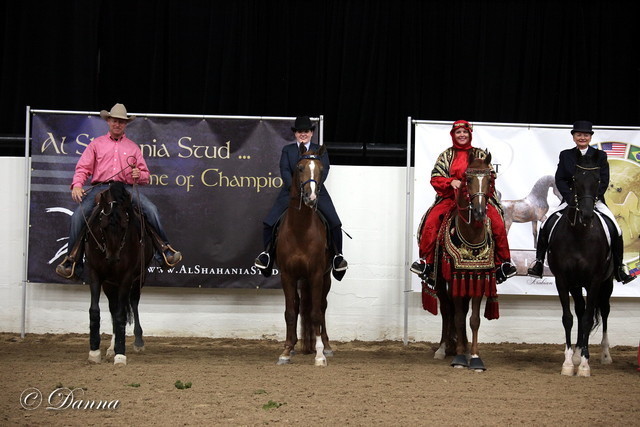 6th Annual Arabian Breeders World Cup - Cox Kids Day 