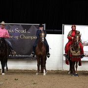6th Annual Arabian Breeders World Cup - Cox Kids Day 