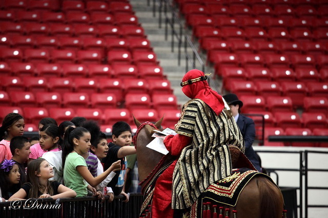 6th Annual Arabian Breeders World Cup - Cox Kids Day 