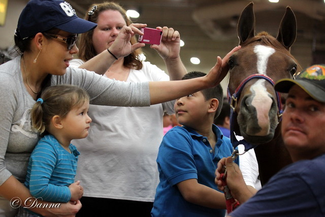 6th Annual Arabian Breeders World Cup - Cox Kids Day 