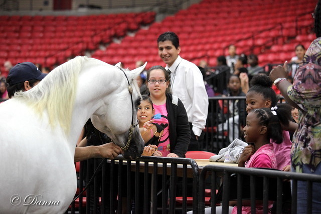 6th Annual Arabian Breeders World Cup - Cox Kids Day 