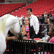 6th Annual Arabian Breeders World Cup - Cox Kids Day 