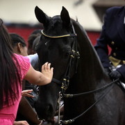 6th Annual Arabian Breeders World Cup - Cox Kids Day 