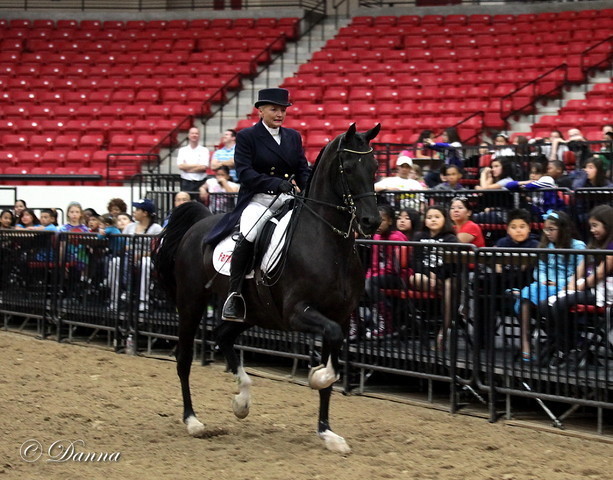 6th Annual Arabian Breeders World Cup - Cox Kids Day 